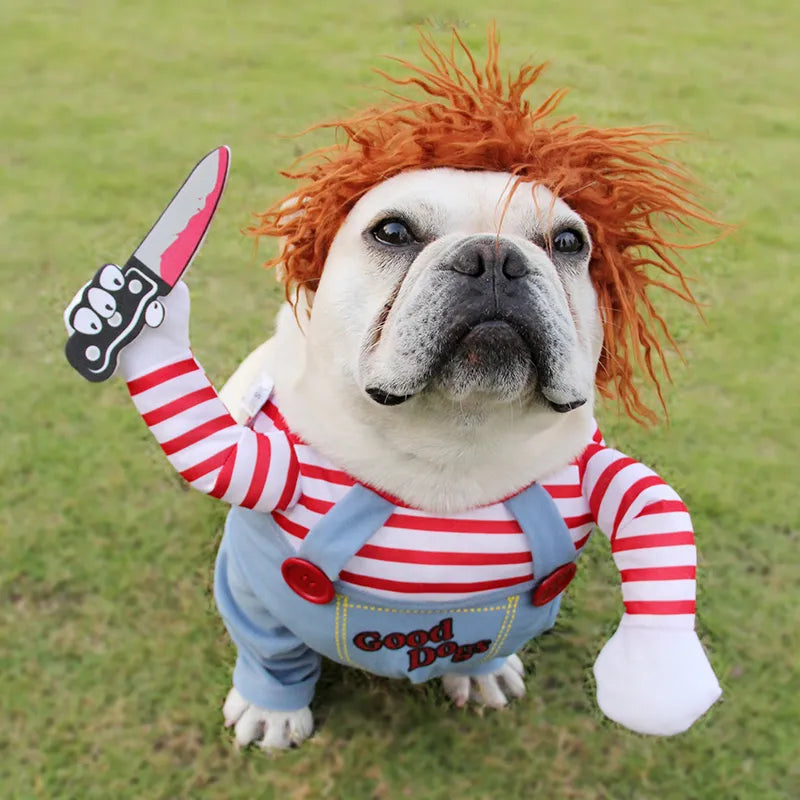 FunnyDog™ Disfraz para Mascota Halloween